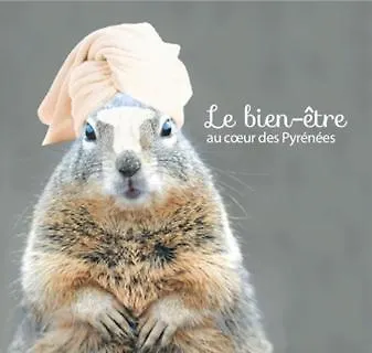 La Marmotaine, T2 Bis, Parking Prive, Balcon Vue Montagne Apartment